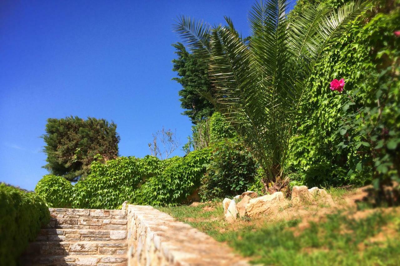 Harmony Maisonette Schinias Dış mekan fotoğraf