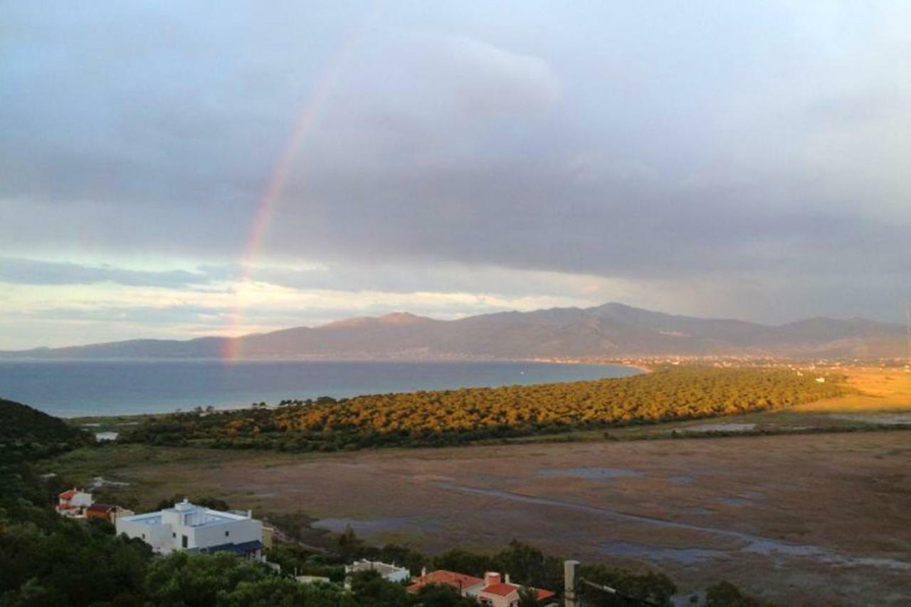 Harmony Maisonette Schinias Dış mekan fotoğraf